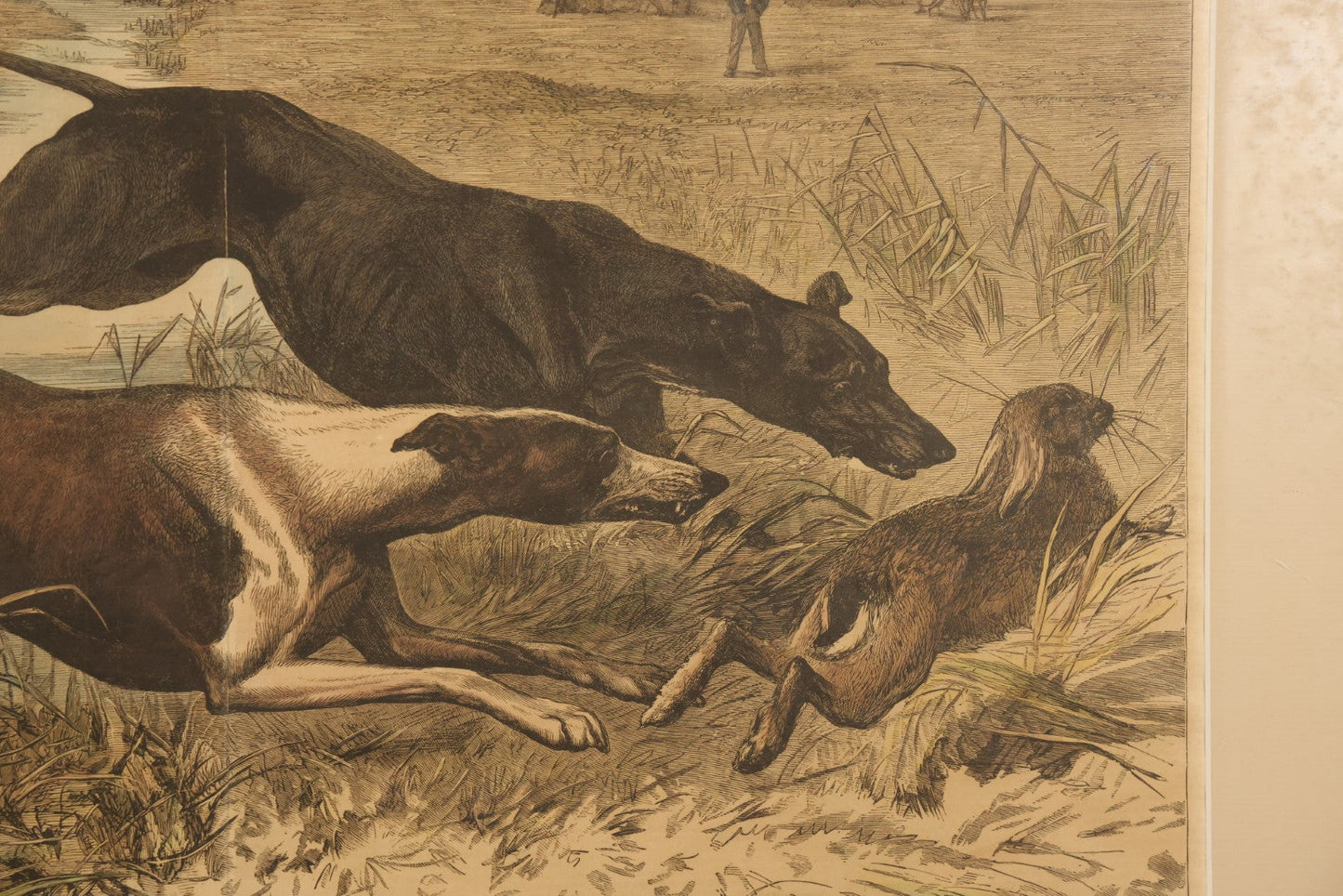 Antique Framed Hand-Colored Wood Engraving Print of a Greyhound Coursing Scene, After Bouverie Goddard, Engraved by W.J. Palmer