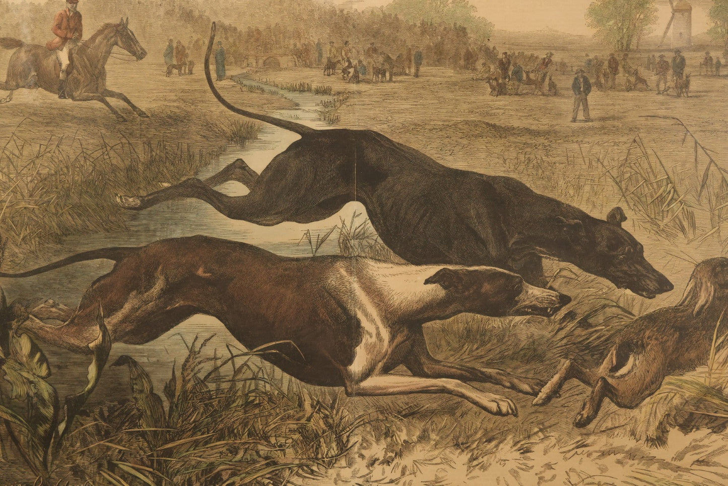 Antique Framed Hand-Colored Wood Engraving Print of a Greyhound Coursing Scene, After Bouverie Goddard, Engraved by W.J. Palmer