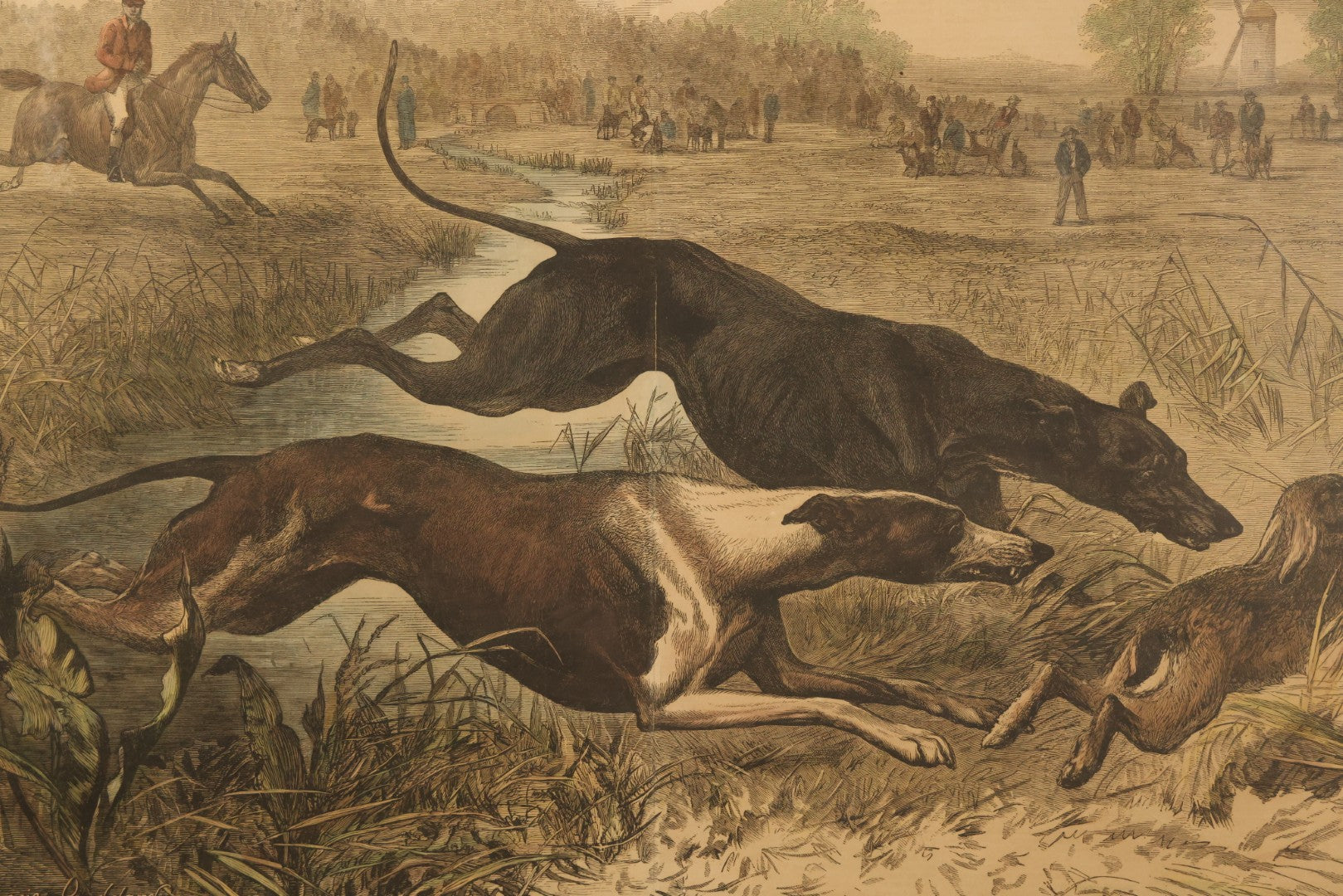 Antique Framed Hand-Colored Wood Engraving Print of a Greyhound Coursing Scene, After Bouverie Goddard, Engraved by W.J. Palmer