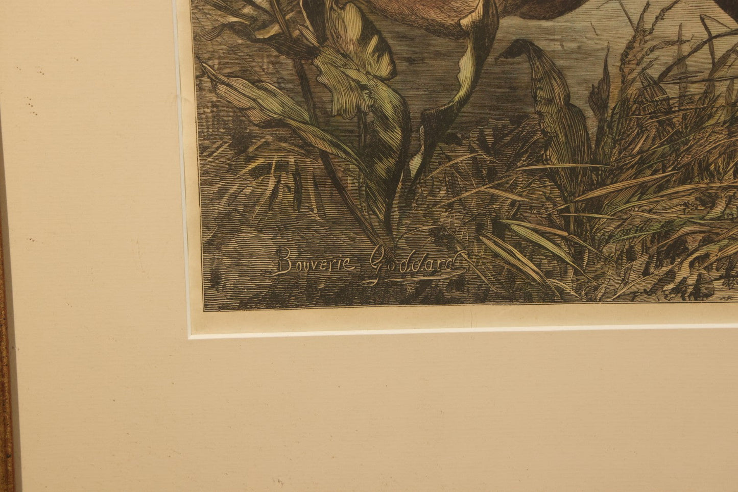 Antique Framed Hand-Colored Wood Engraving Print of a Greyhound Coursing Scene, After Bouverie Goddard, Engraved by W.J. Palmer