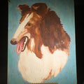 Lot 100 - Vintage Naive Oil Painting on Canvas Board, Portrait of a Collie Dog, 1956 Scholastic Art and Photography Awards Entry by Candy Flickinger, Hudson High School, Hudson, Ohio, 12" W x 16" H