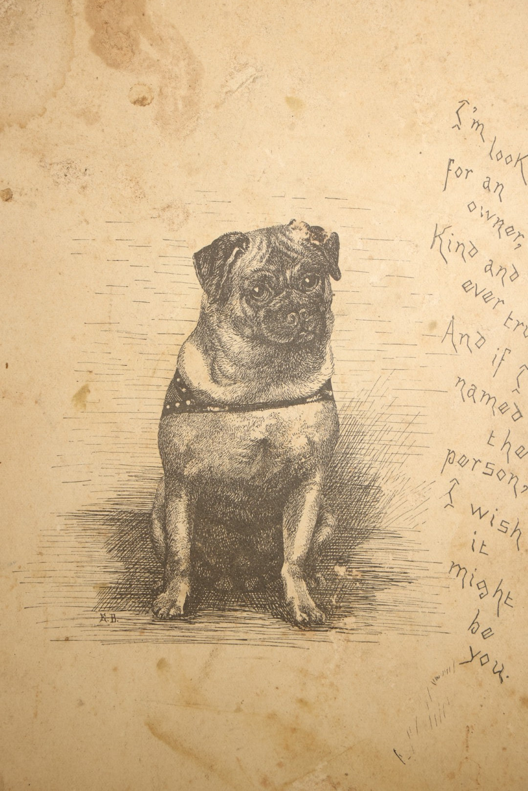 Antique Pug Dog Etching Print with Verse, Manuscript on Verso Recording First Meeting of the Beta Eta Alumni Charter House Association, Beta Theta Pi, Maine State College, Philadelphia, Pennsylvania, 1889