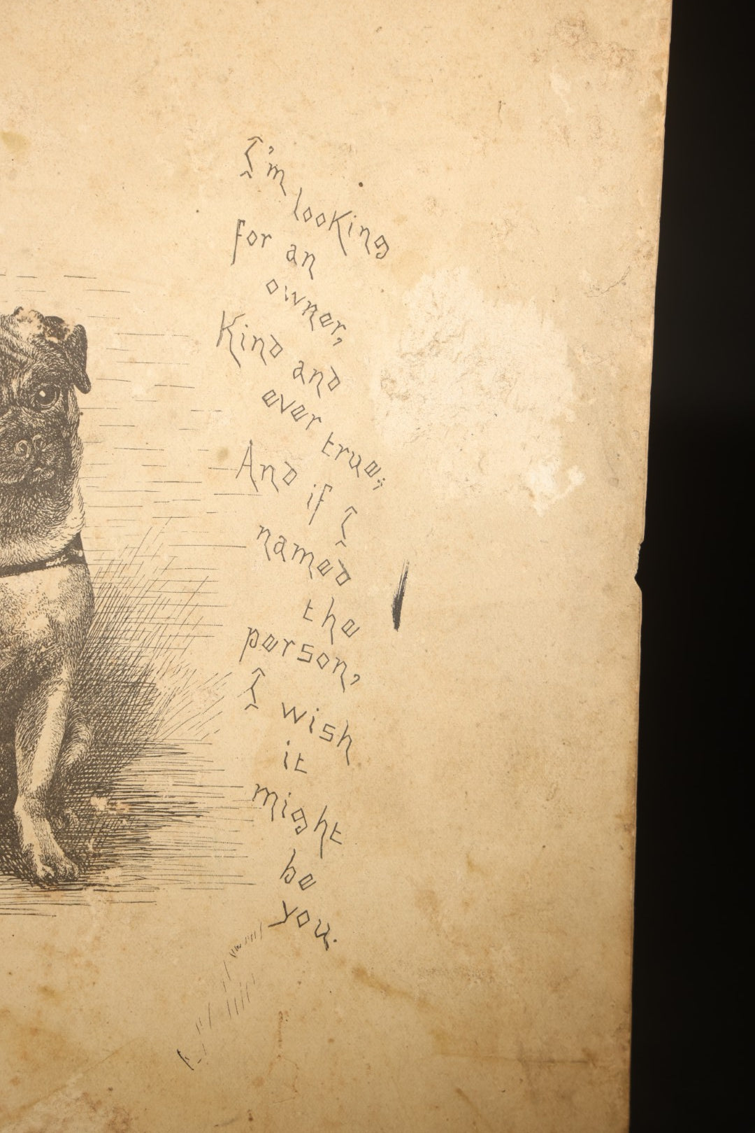 Antique Pug Dog Etching Print with Verse, Manuscript on Verso Recording First Meeting of the Beta Eta Alumni Charter House Association, Beta Theta Pi, Maine State College, Philadelphia, Pennsylvania, 1889