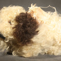 Lot 134 - Vintage Stuffed Toy Dog with Curly Cream and Brown Fur and Ribbon Bow, 4-1/2" H