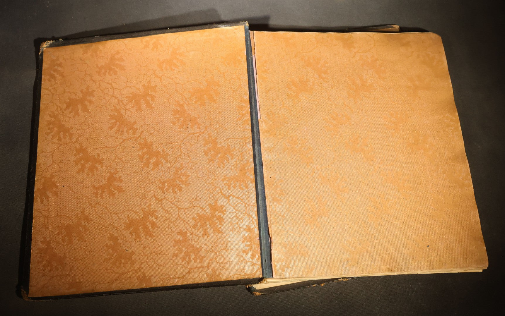 Antique Autograph Album with Handwritten Poetry, Albumen Photographs, Engravings, and Embossed Pages, Entries Beginning 1863, Printed by Lefevre & Kohler, Newman Street