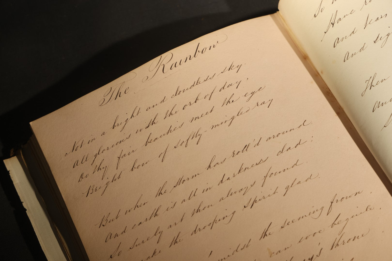Antique Autograph Album with Handwritten Poetry, Albumen Photographs, Engravings, and Embossed Pages, Entries Beginning 1863, Printed by Lefevre & Kohler, Newman Street