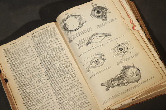 "The American Illustrated Medical Dictionary" Vintage Illustrated Medical Reference Book by W.A. Newman Dorland, 13th Edition, Published by W.B. Saunders Company, Philadelphia, Pennsylvania