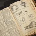 Lot 175 - "The American Illustrated Medical Dictionary" Vintage Illustrated Medical Reference Book by W.A. Newman Dorland, 13th Edition, Published by W.B. Saunders Company, Philadelphia, Pennsylvania
