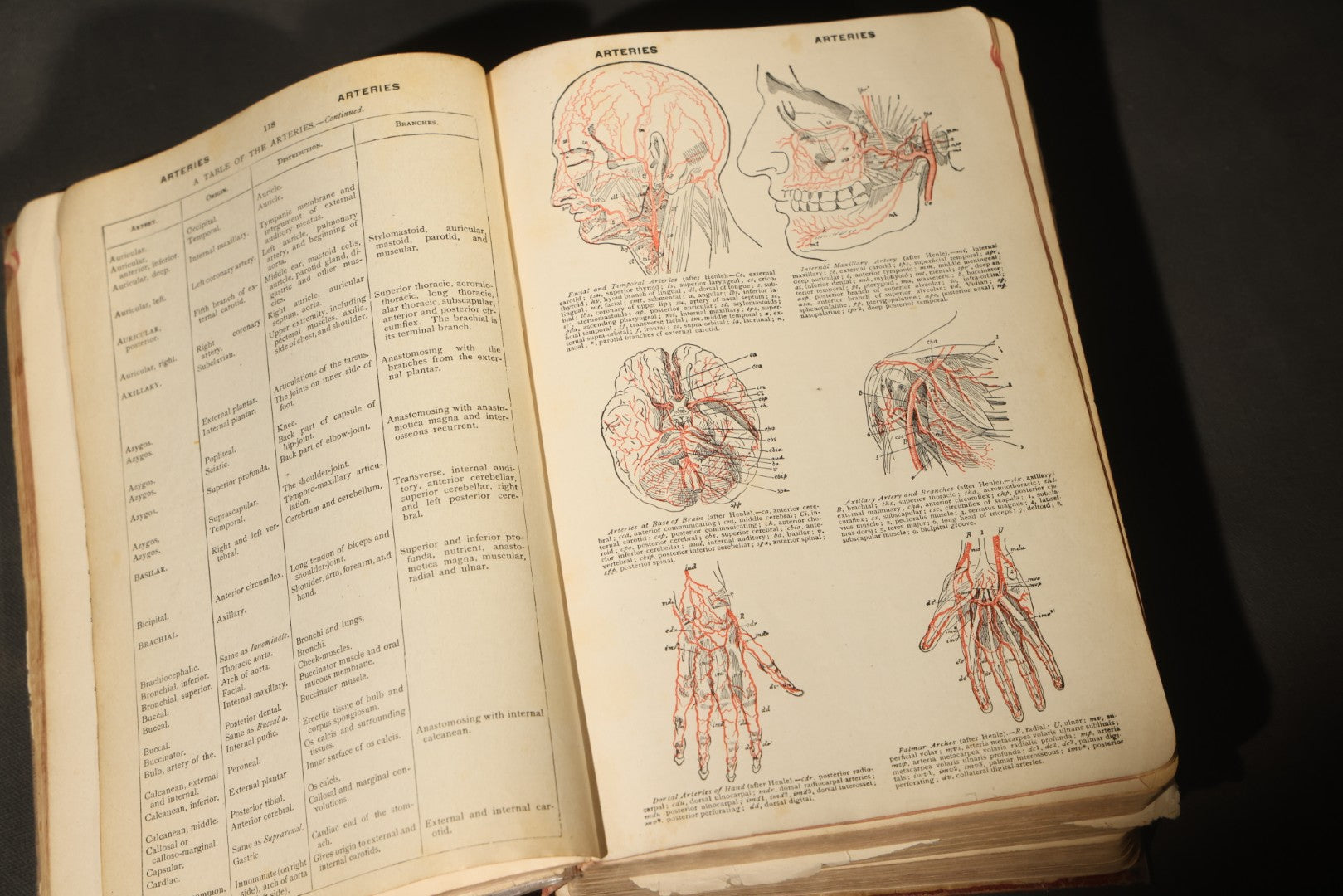 "The American Illustrated Medical Dictionary" Vintage Illustrated Medical Reference Book by W.A. Newman Dorland, 13th Edition, Published by W.B. Saunders Company, Philadelphia, Pennsylvania