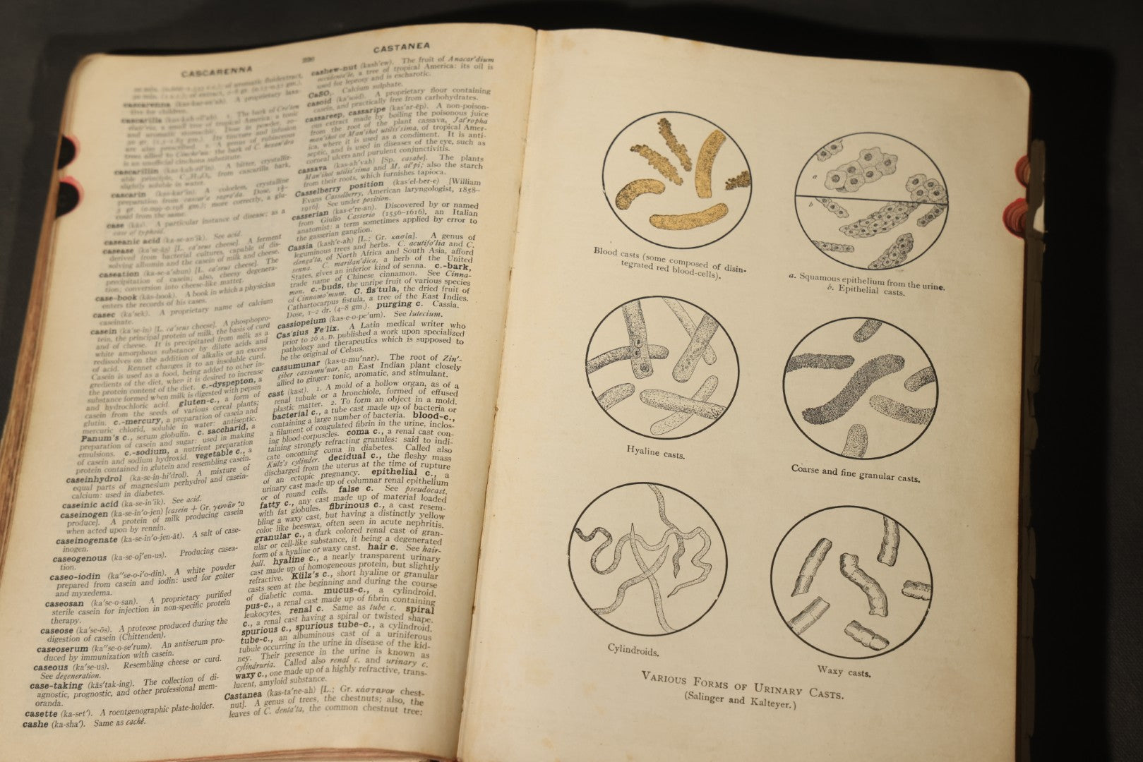 "The American Illustrated Medical Dictionary" Vintage Illustrated Medical Reference Book by W.A. Newman Dorland, 13th Edition, Published by W.B. Saunders Company, Philadelphia, Pennsylvania