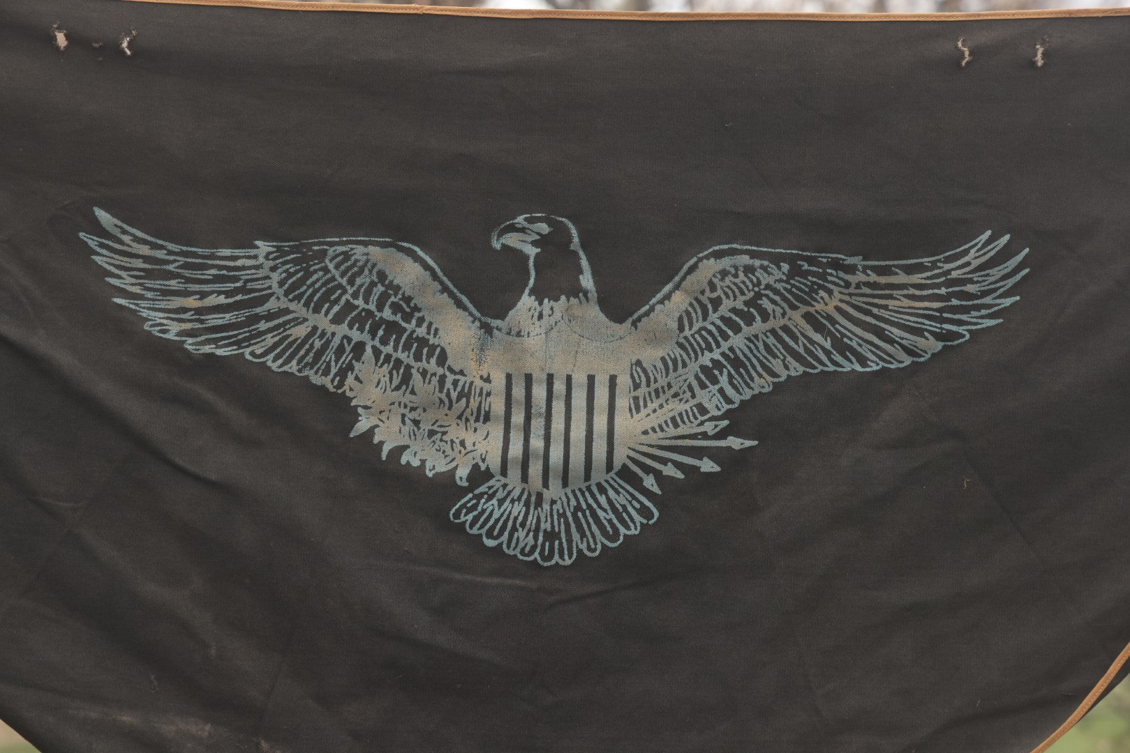 Antique Patriotic American Eagle Canvas Bunting Banner