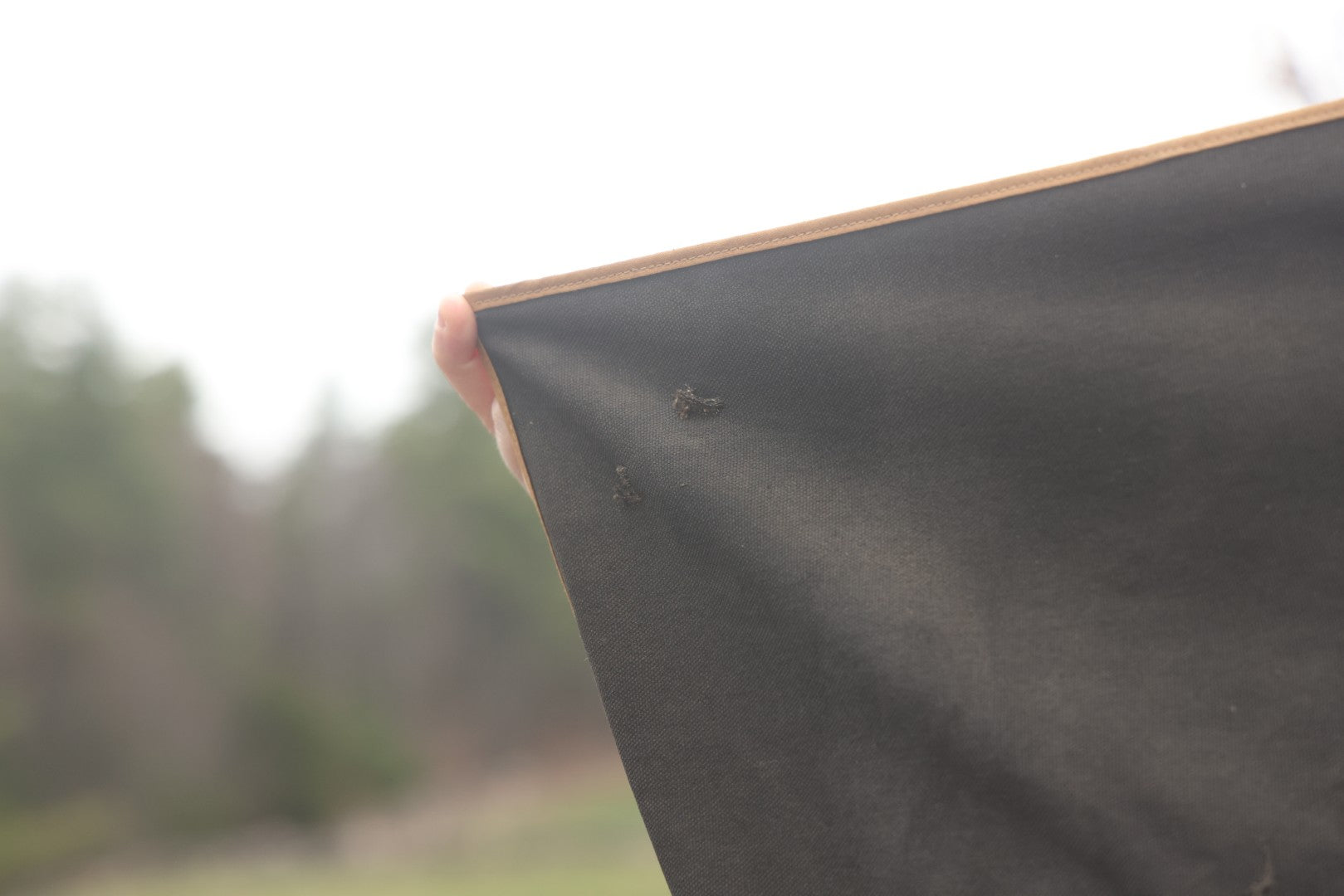 Antique Patriotic American Eagle Canvas Bunting Banner