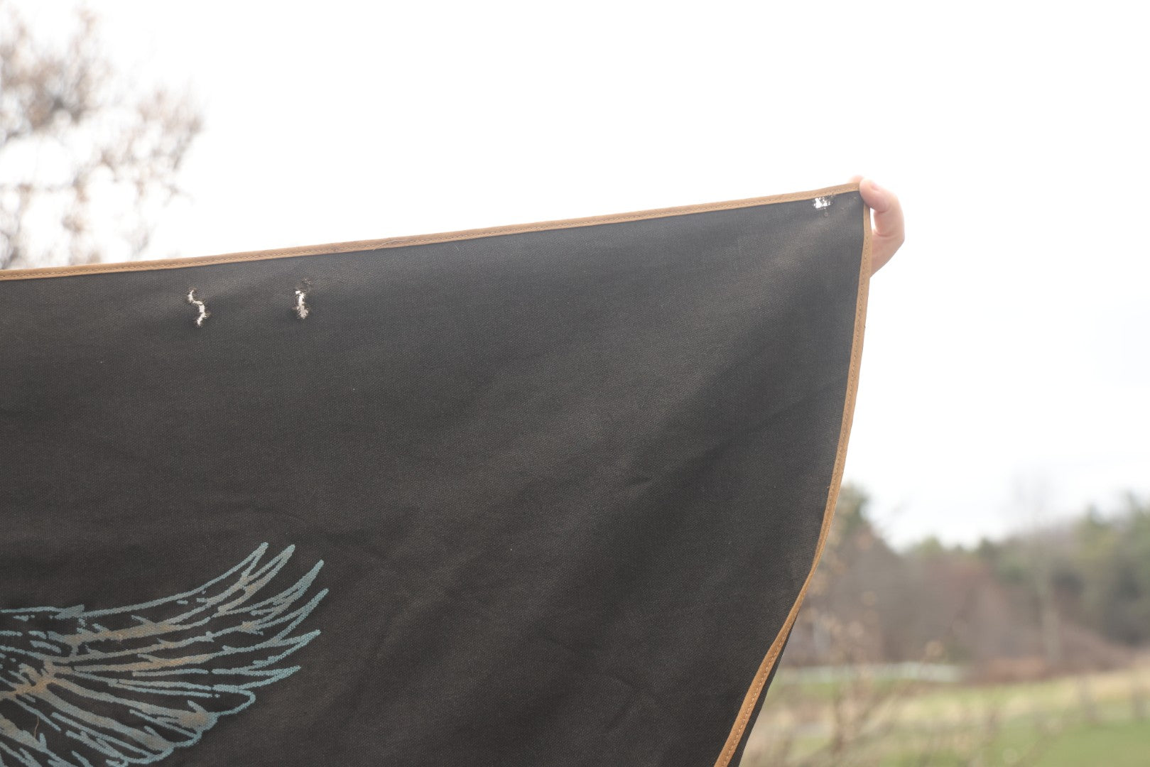 Antique Patriotic American Eagle Canvas Bunting Banner