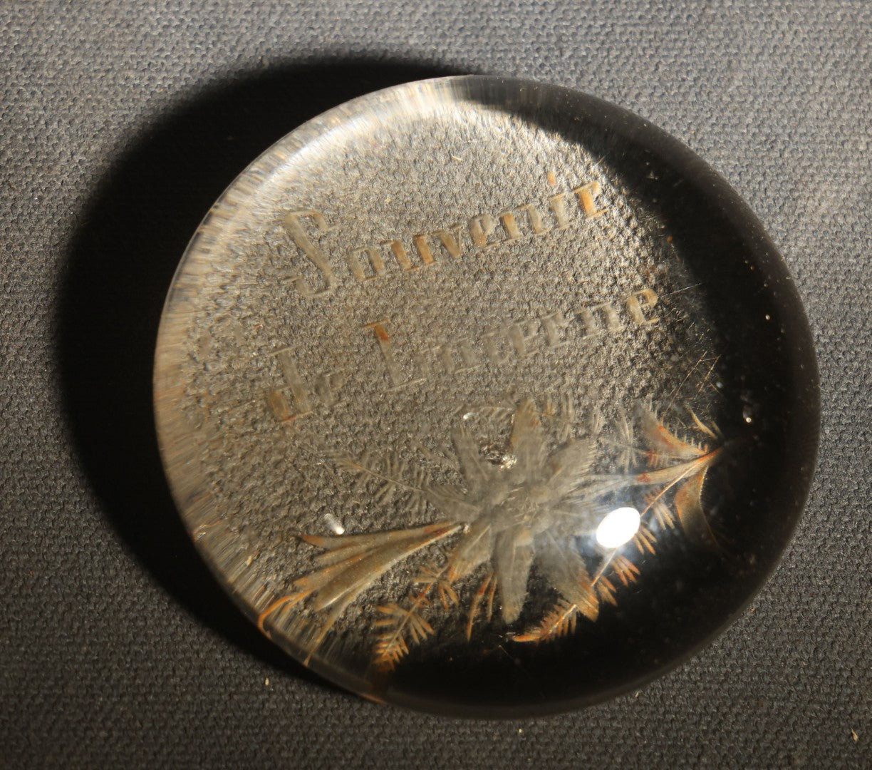 Antique "Souvenir de Lucerne" ("Souvenir of Lucerne") Swiss Glass Paperweight with Pressed Flowers and Ferns, Note Chip