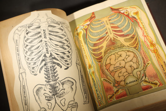 "Health Knowledge" Vintage Medical Reference Book with Layered Color Anatomical Manikins, Volume I, Edited by J. L. Corish, M.D., Published by Medical Book Distributors, Inc., New York, 1927
