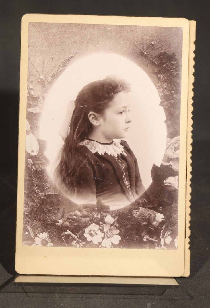 Grouping of Five Antique Cabinet Card Photographs of Children including Anna, Maude, and Grace Seaman, Photographed by Stewart, Minonk, Illinois and Lequist Bros., Peoria, Illinois