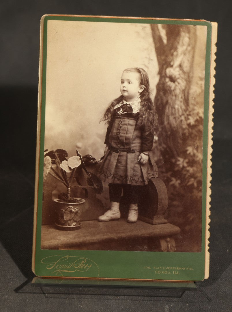 Grouping of Five Antique Cabinet Card Photographs of Children including Anna, Maude, and Grace Seaman, Photographed by Stewart, Minonk, Illinois and Lequist Bros., Peoria, Illinois