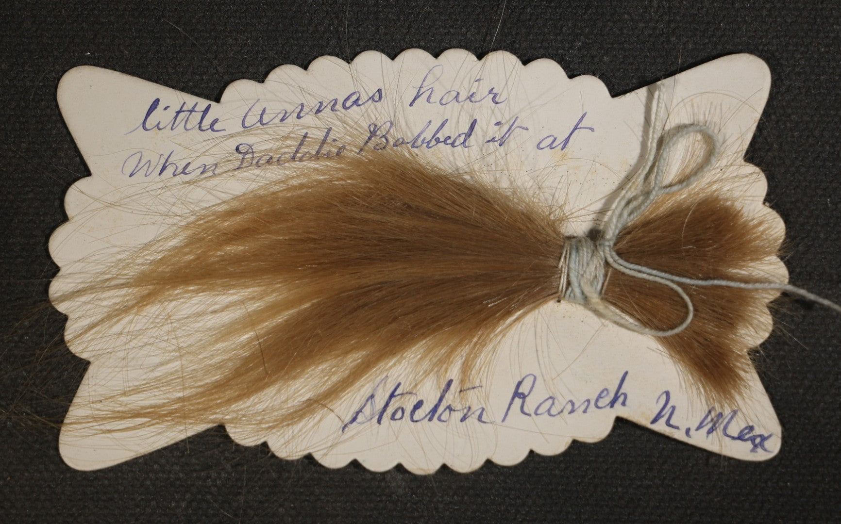 Antique Hair Memento Lock on Scalloped Card, Inscribed "Little Annas Hair When Daddie Bobbed It at Stockton Ranch," New Mexico