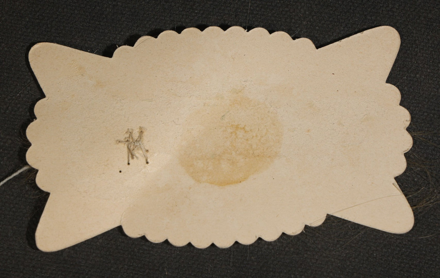 Antique Hair Memento Lock on Scalloped Card, Inscribed "Little Annas Hair When Daddie Bobbed It at Stockton Ranch," New Mexico