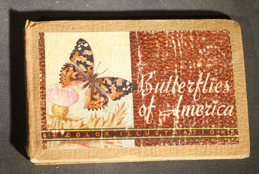 "Butterflies and Moths of America" Vintage Entomology Book with 64 Color Illustrations by Lillian Davids Fazzini, Published by Whitman Publishing Company, Racine, Wisconsin, 1934