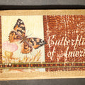 Lot 029 - "Butterflies and Moths of America" Vintage Entomology Book with 64 Color Illustrations by Lillian Davids Fazzini, Published by Whitman Publishing Company, Racine, Wisconsin, 1934