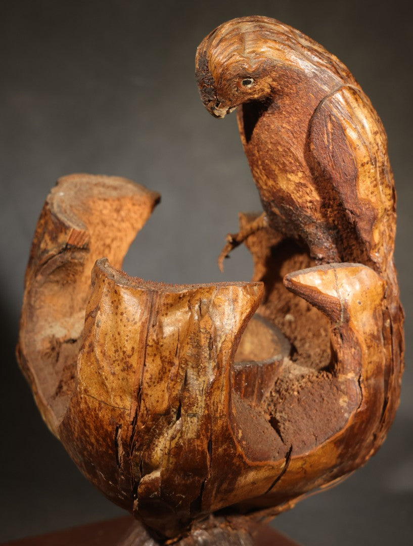 Vintage Folk Art Carved Coconut Shell Parrot Souvenir from Florida, Mounted on Wooden Base