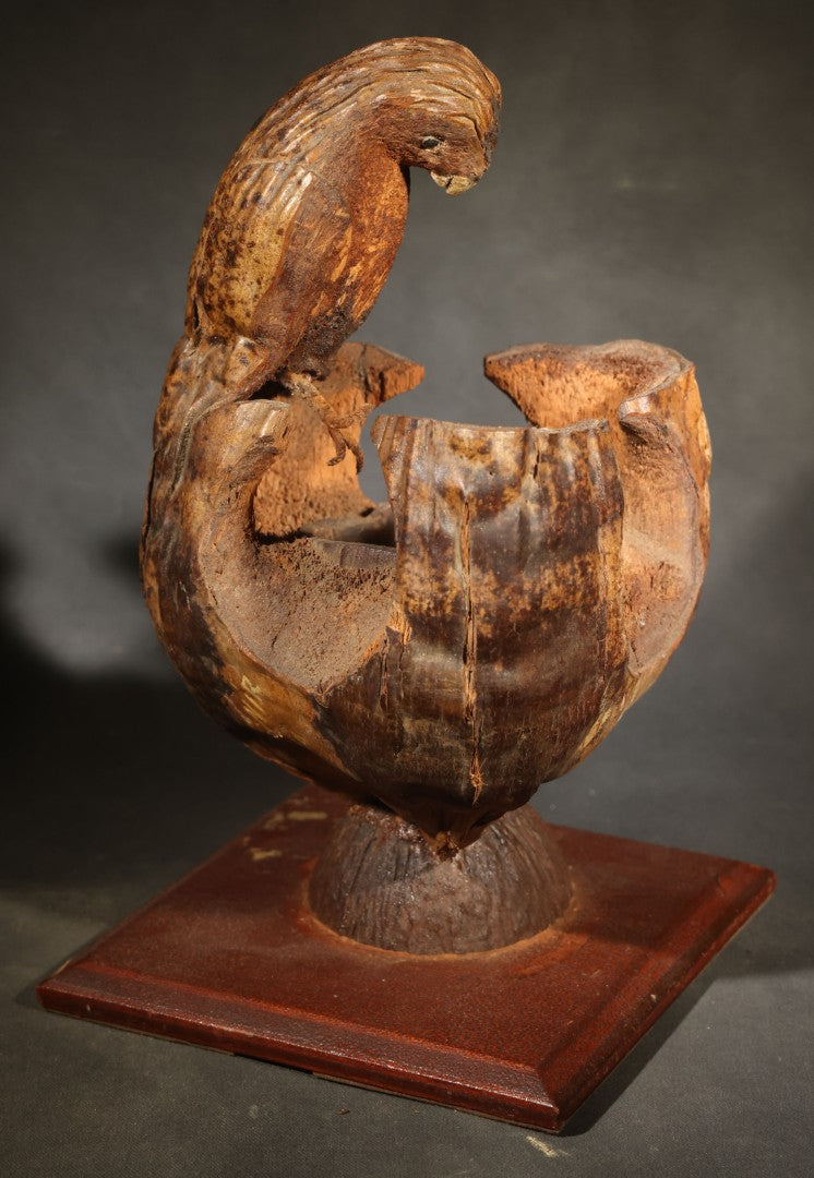 Vintage Folk Art Carved Coconut Shell Parrot Souvenir from Florida, Mounted on Wooden Base