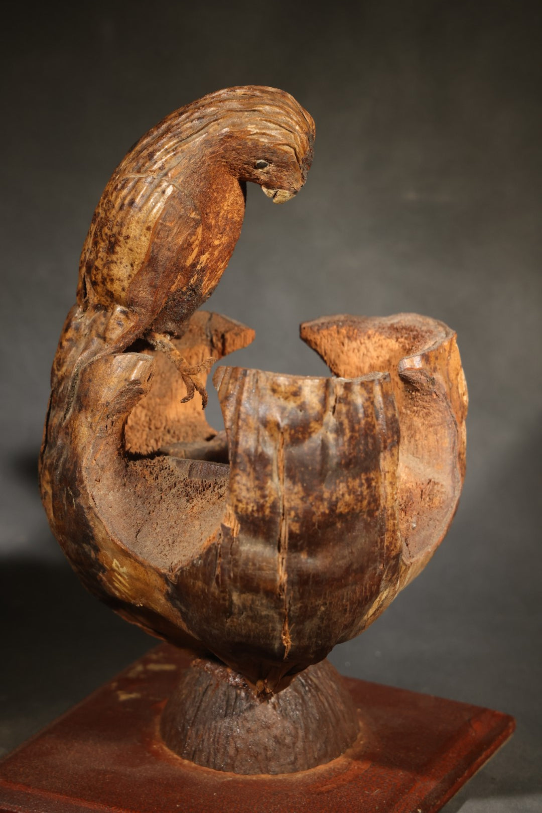 Vintage Folk Art Carved Coconut Shell Parrot Souvenir from Florida, Mounted on Wooden Base