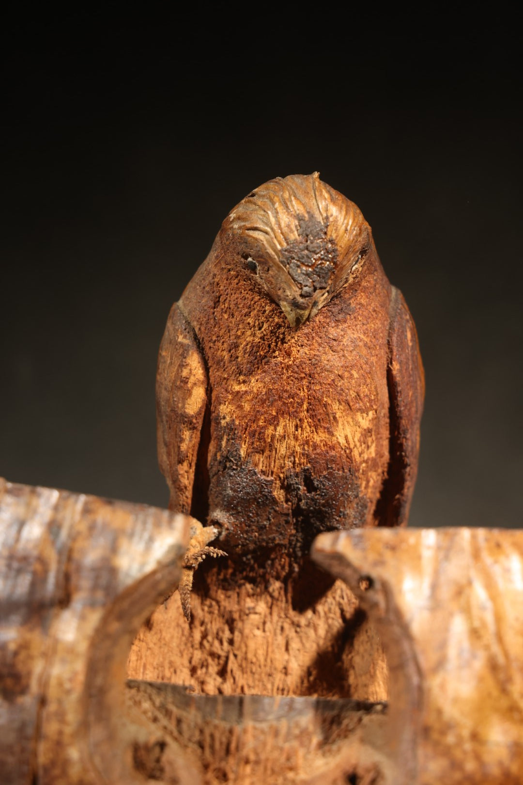 Vintage Folk Art Carved Coconut Shell Parrot Souvenir from Florida, Mounted on Wooden Base