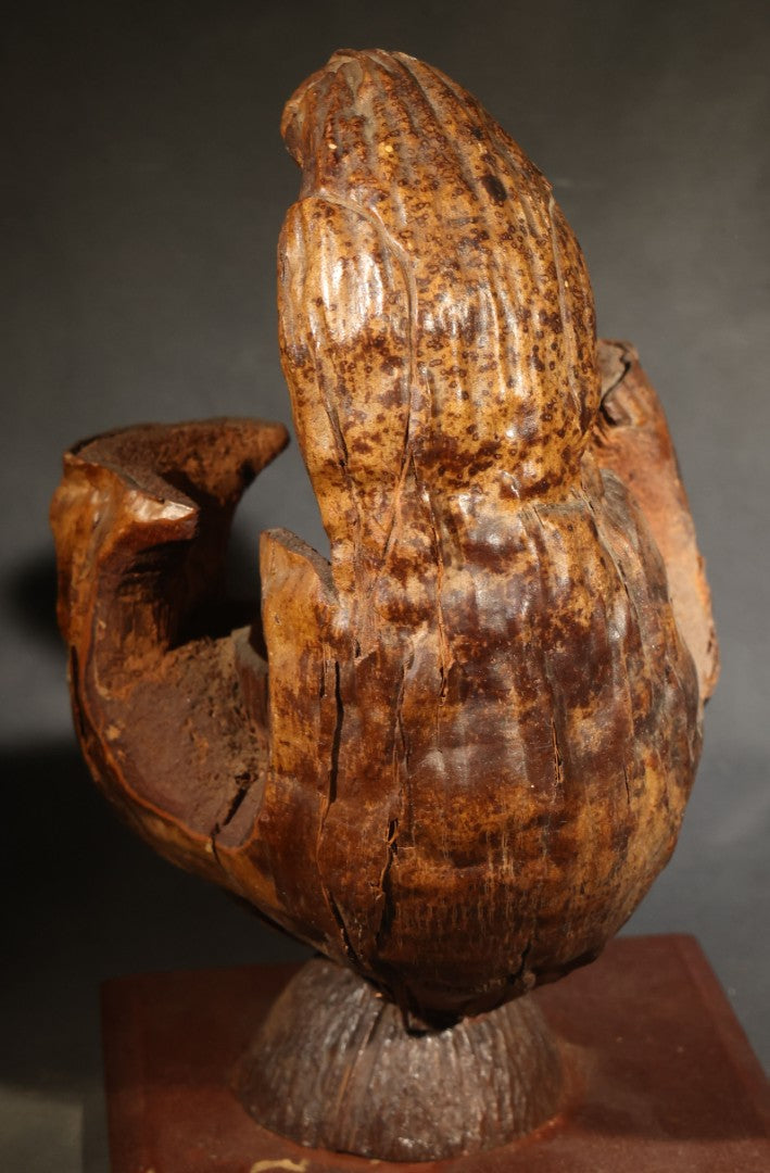 Vintage Folk Art Carved Coconut Shell Parrot Souvenir from Florida, Mounted on Wooden Base