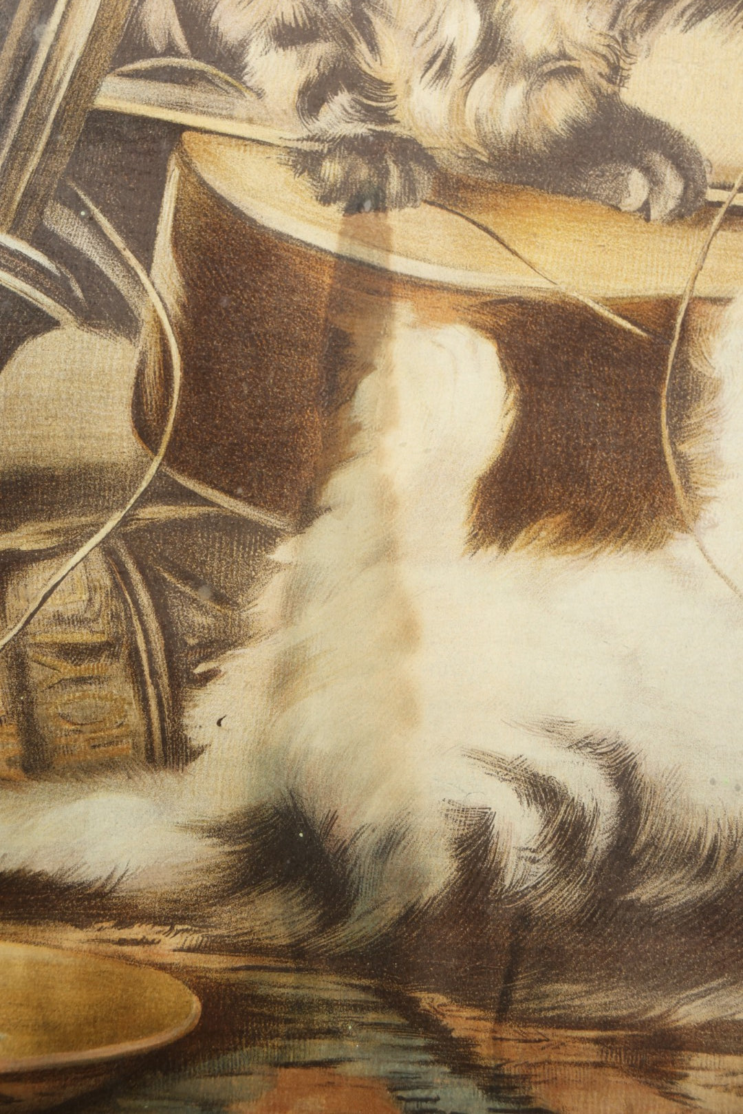 Antique Framed Chromolithograph Print of Three Cats Playing with a Violin, With Sheet Music, Books, and Stein In Scene
