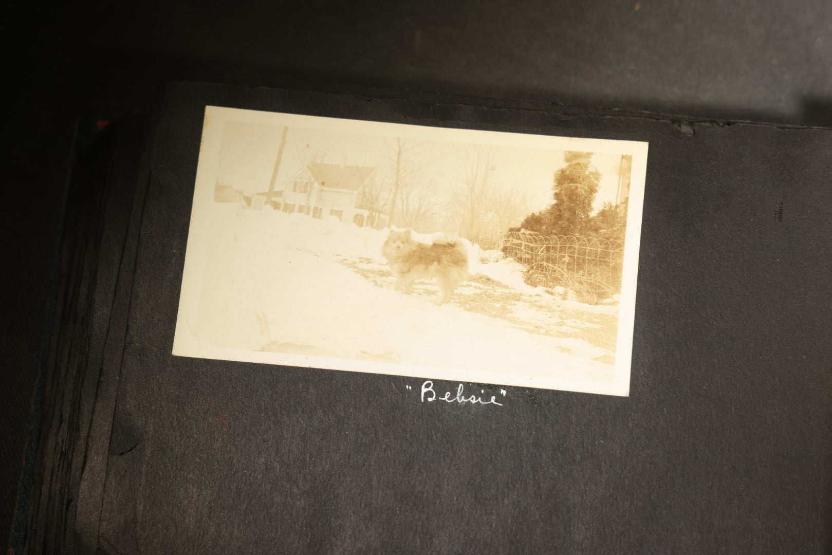 Vintage Snapshot Photo Album Containing 100+ Photographs, 1930-1934, including Onset Wharf, Massachusetts, Fishing, and Family Gatherings