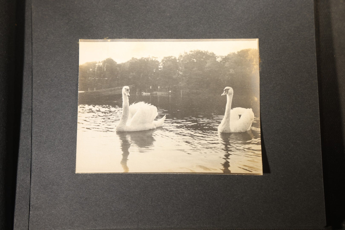 Antique Snapshot Photo Album Containing 25+ Photographs, Circa 1910, Including Beach Scenes, R.P.P.C. of Two Young Men in Cowboy Attire, Sailboat, Swans, Castle Architecture, and Family Portraits