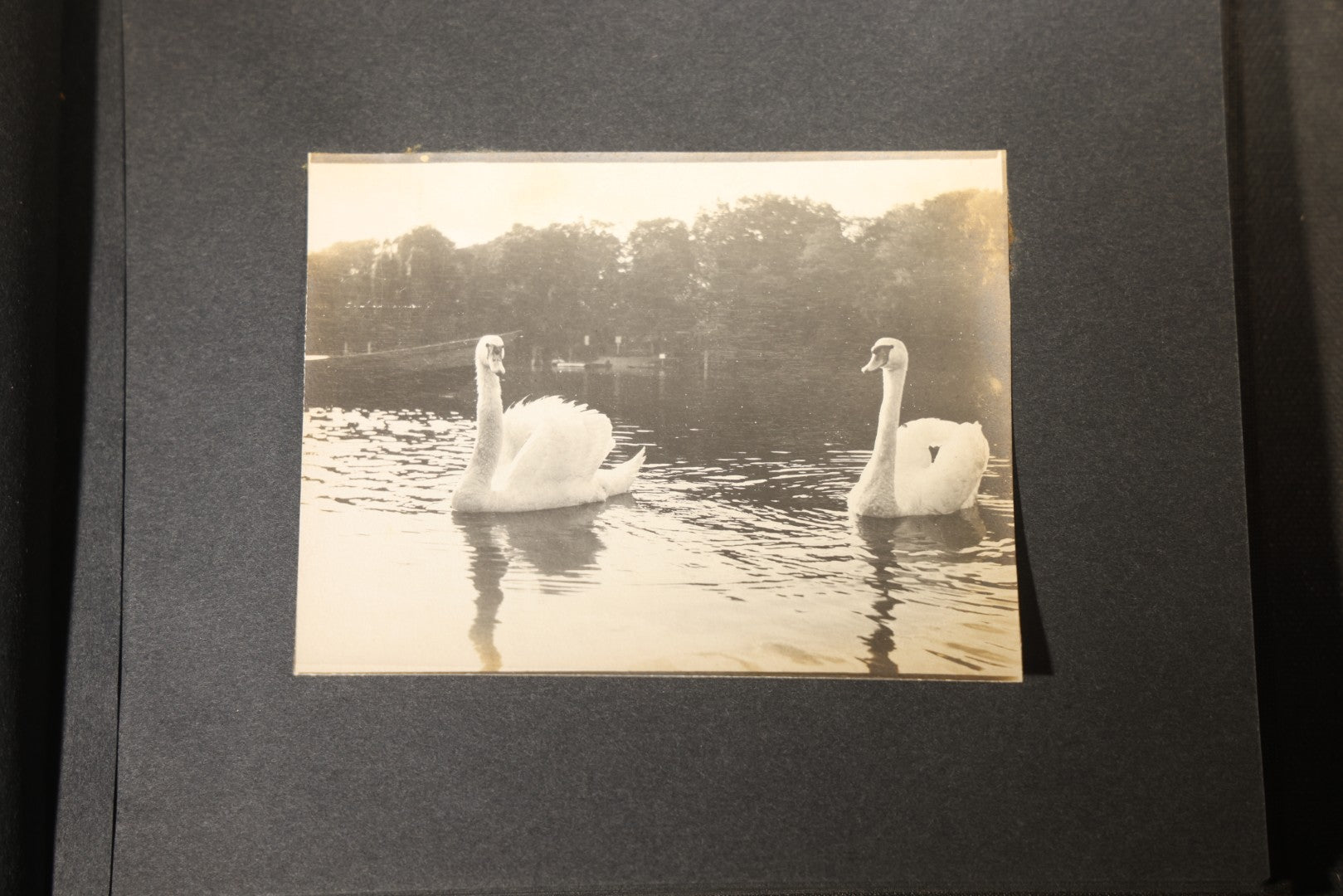 Antique Snapshot Photo Album Containing 25+ Photographs, Circa 1910, Including Beach Scenes, R.P.P.C. of Two Young Men in Cowboy Attire, Sailboat, Swans, Castle Architecture, and Family Portraits