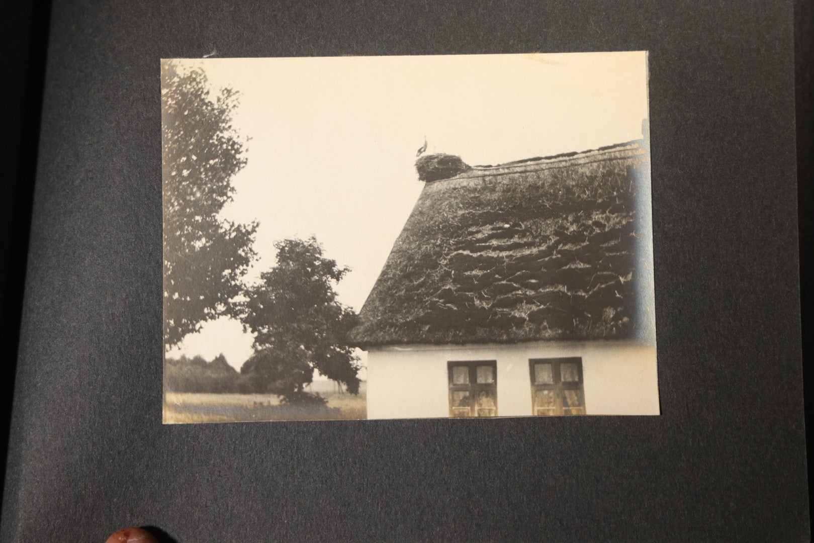 Antique Snapshot Photo Album Containing 25+ Photographs, Circa 1910, Including Beach Scenes, R.P.P.C. of Two Young Men in Cowboy Attire, Sailboat, Swans, Castle Architecture, and Family Portraits