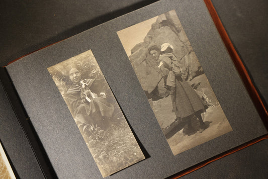 Antique Snapshot Photo Album Containing 70+ Photographs, Circa 1900s-1910s, Including Horse-Drawn Stagecoach, Seaside Hotel, Pig Farm, Cattle, Beach Scenes, Horse and Buggy, and Family Portraits