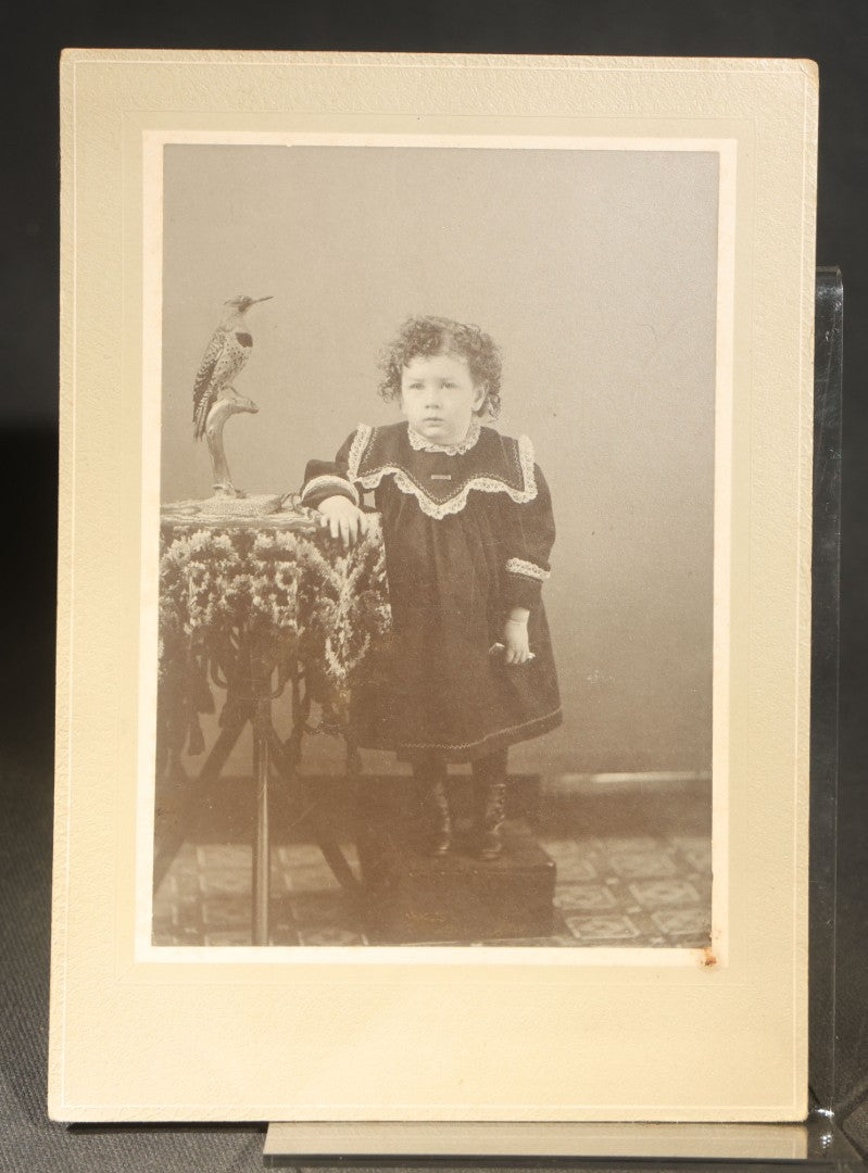 Grouping of Five Antique Board-Mounted Photographs including Sunken Paddle Wheel Steamboat Inscribed "Sunk on Currier Rock 1903," German Christmas Pyramid, and Child with Taxidermy Bird by Nicholas, Bristol, New Hampshire