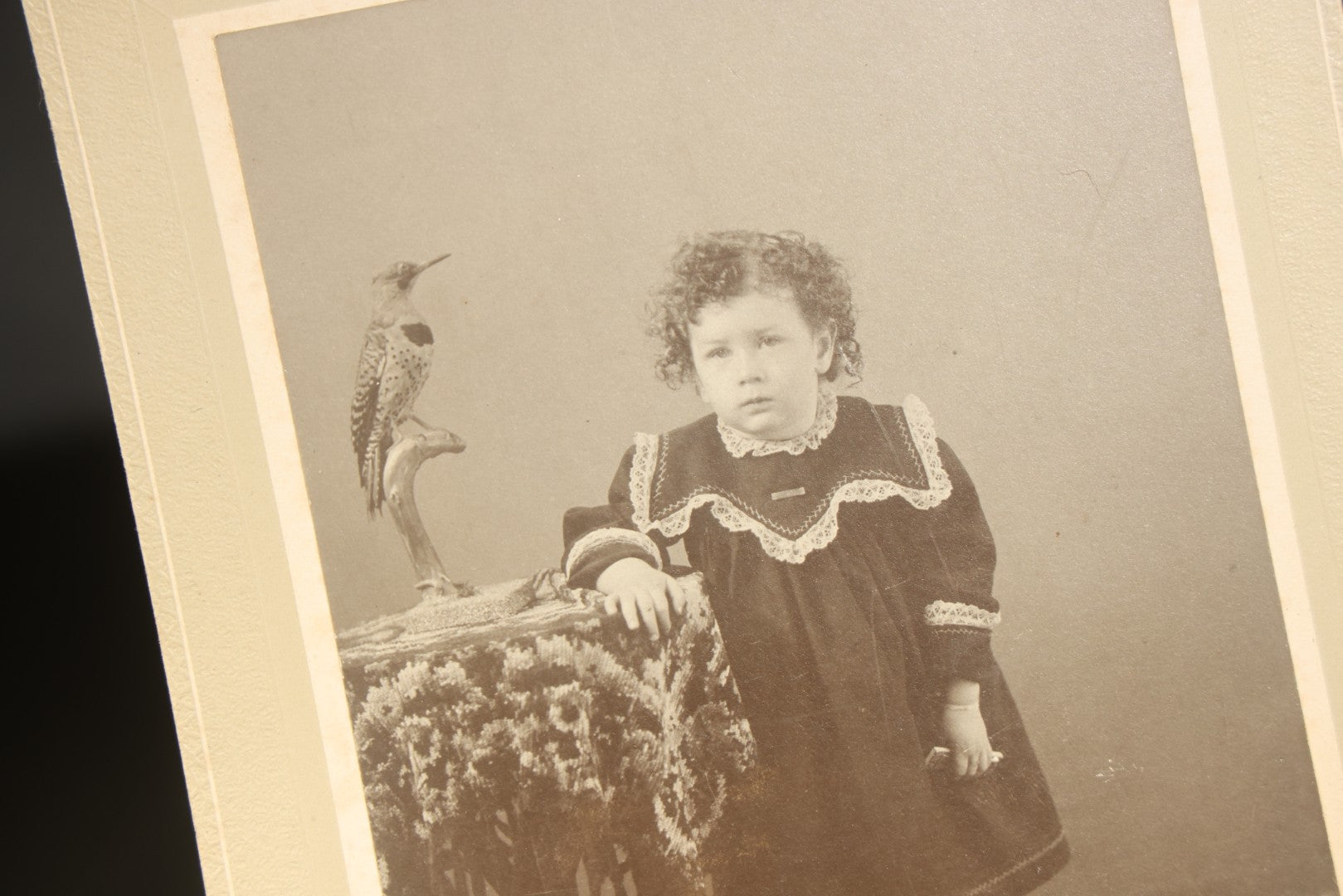 Grouping of Five Antique Board-Mounted Photographs including Sunken Paddle Wheel Steamboat Inscribed "Sunk on Currier Rock 1903," German Christmas Pyramid, and Child with Taxidermy Bird by Nicholas, Bristol, New Hampshire