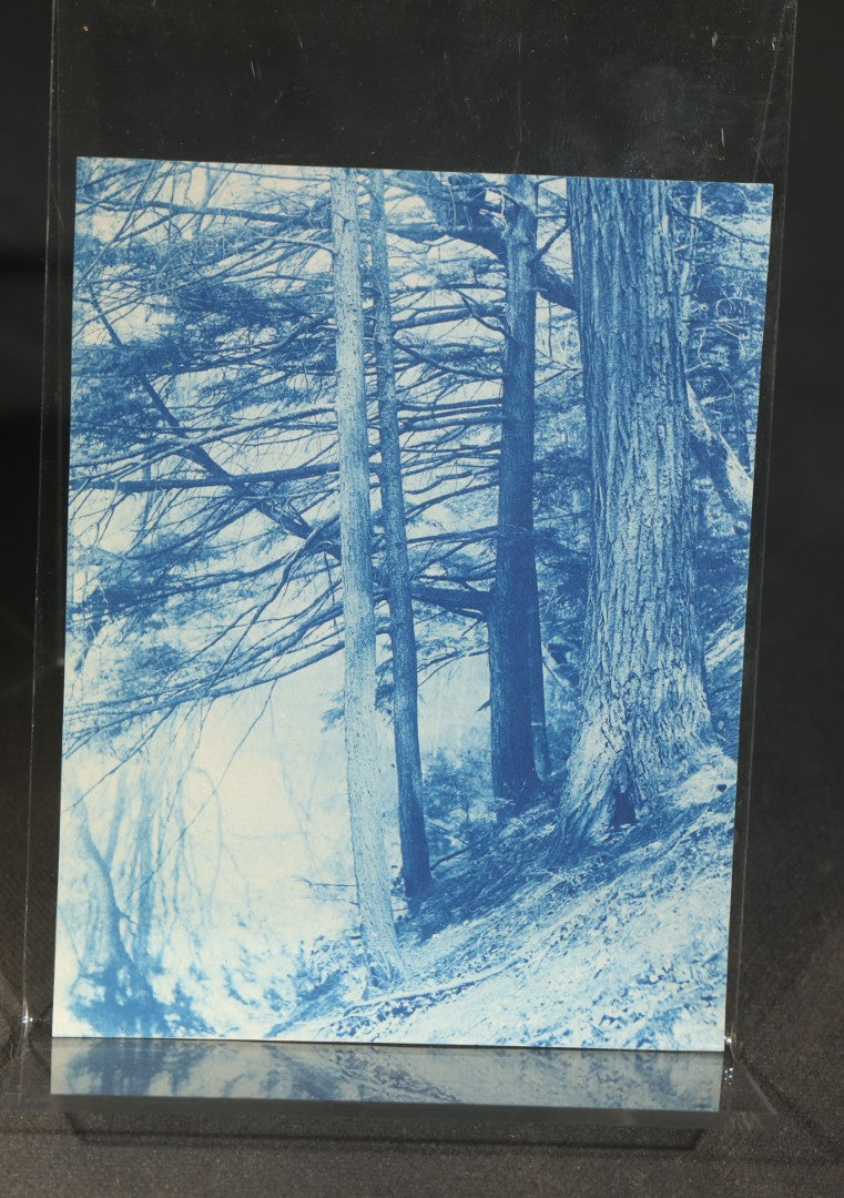 Grouping of 12 Antique Cyanotype Photographs including "Weirs Wreck" Train Derailment, Occupational Newspaper Deliveryman with "The Sun" Cart, Naval Warships, Cyanotype on Birch Bark, Man with Bicycle, and Photo Gallery Interior