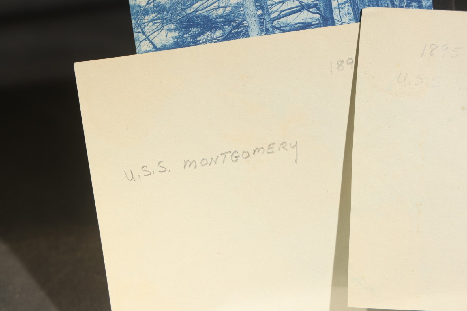 Grouping of 12 Antique Cyanotype Photographs including "Weirs Wreck" Train Derailment, Occupational Newspaper Deliveryman with "The Sun" Cart, Naval Warships, Cyanotype on Birch Bark, Man with Bicycle, and Photo Gallery Interior