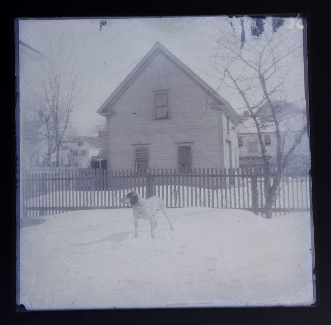 Grouping of 38 Antique Glass Plate Photographic Negatives including Interior and Exterior Views, Portraits, and Domestic Scenes
