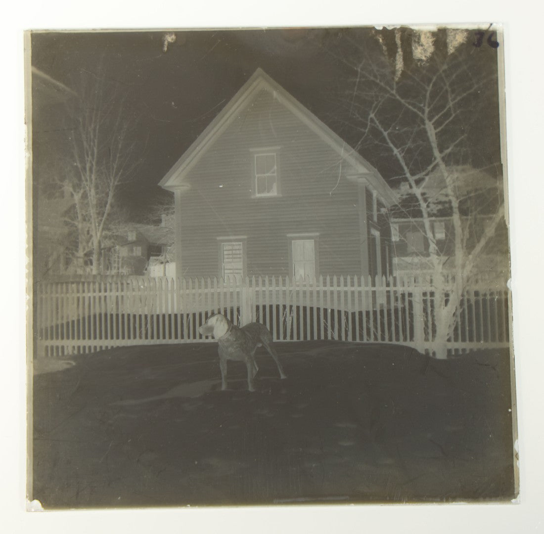 Grouping of 38 Antique Glass Plate Photographic Negatives including Interior and Exterior Views, Portraits, and Domestic Scenes