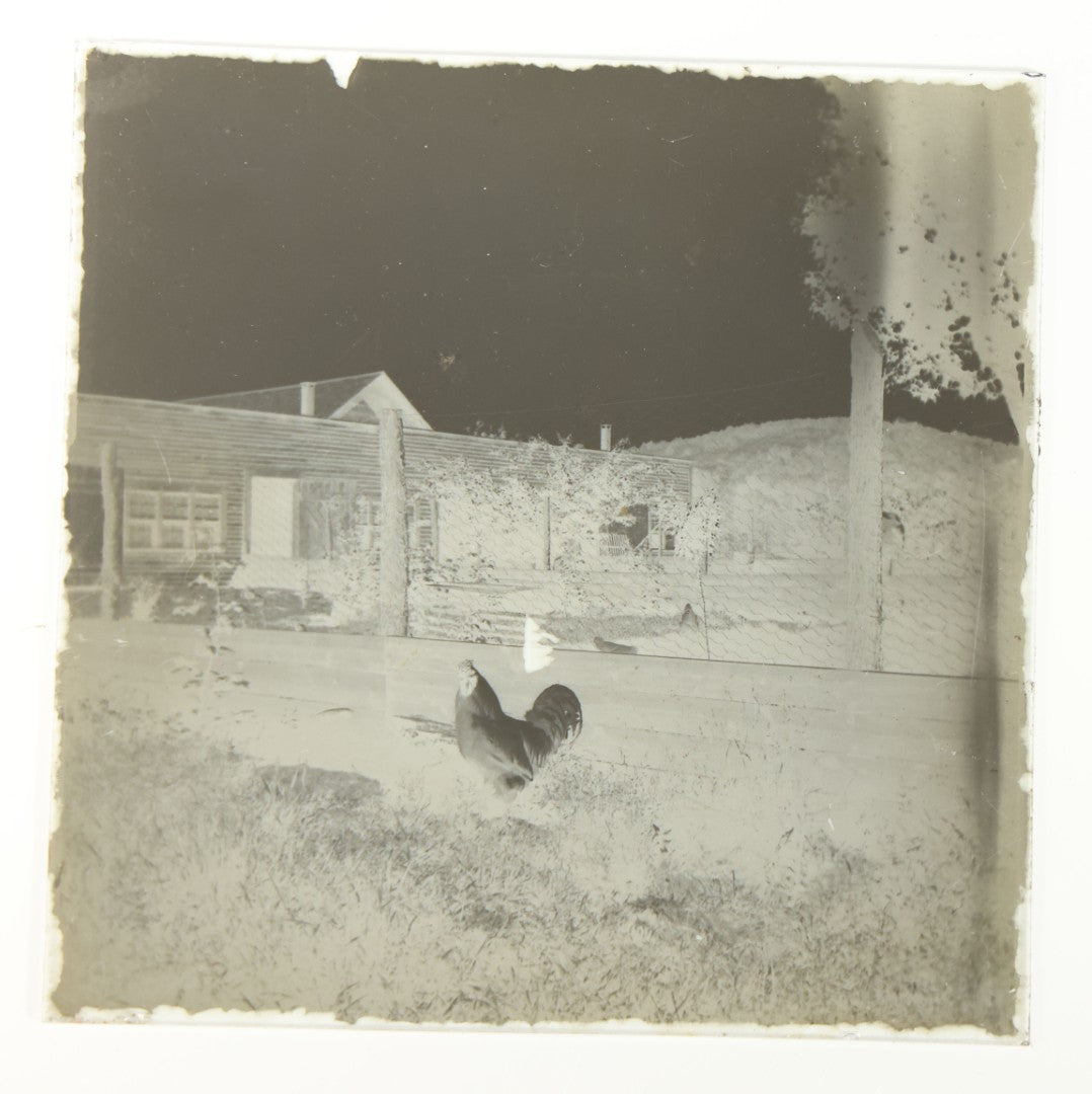 Grouping of 38 Antique Glass Plate Photographic Negatives including Interior and Exterior Views, Portraits, and Domestic Scenes