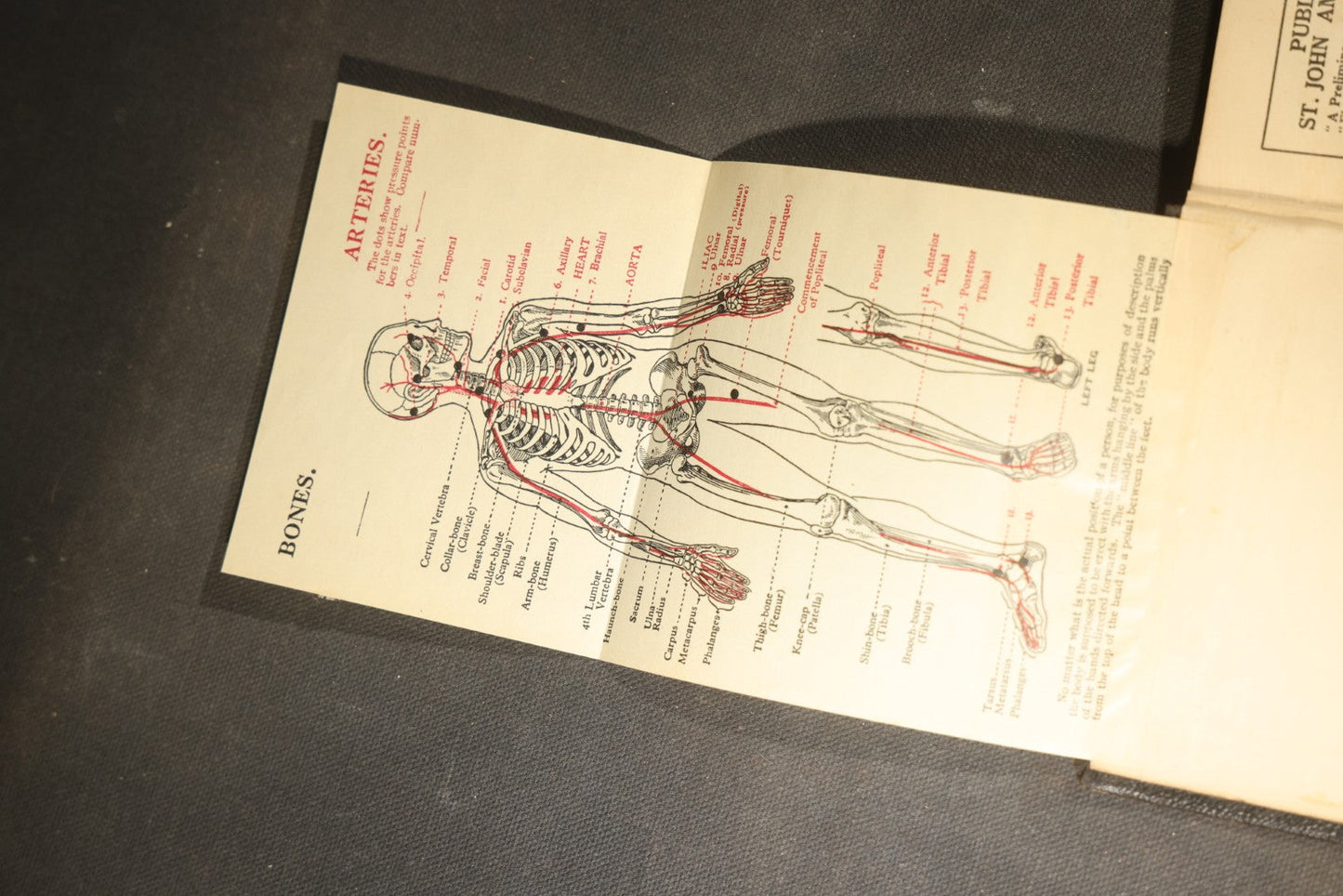 "First Aid to the Injured" Vintage St. John Ambulance Association Medical Textbook by Sir James Cantlie with Anatomical Illustrations and Fold-Out Diagram, 38th Edition, London, 1933