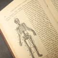Lot 104 - "The People's Common Sense Medical Adviser in Plain English; or, Medicine Simplified" Antique Medical Book with Anatomical Illustrations by R.V. Pierce, M.D., 18th Edition, Published by World's Dispensary Printing Office, Buffalo, New York, 1888