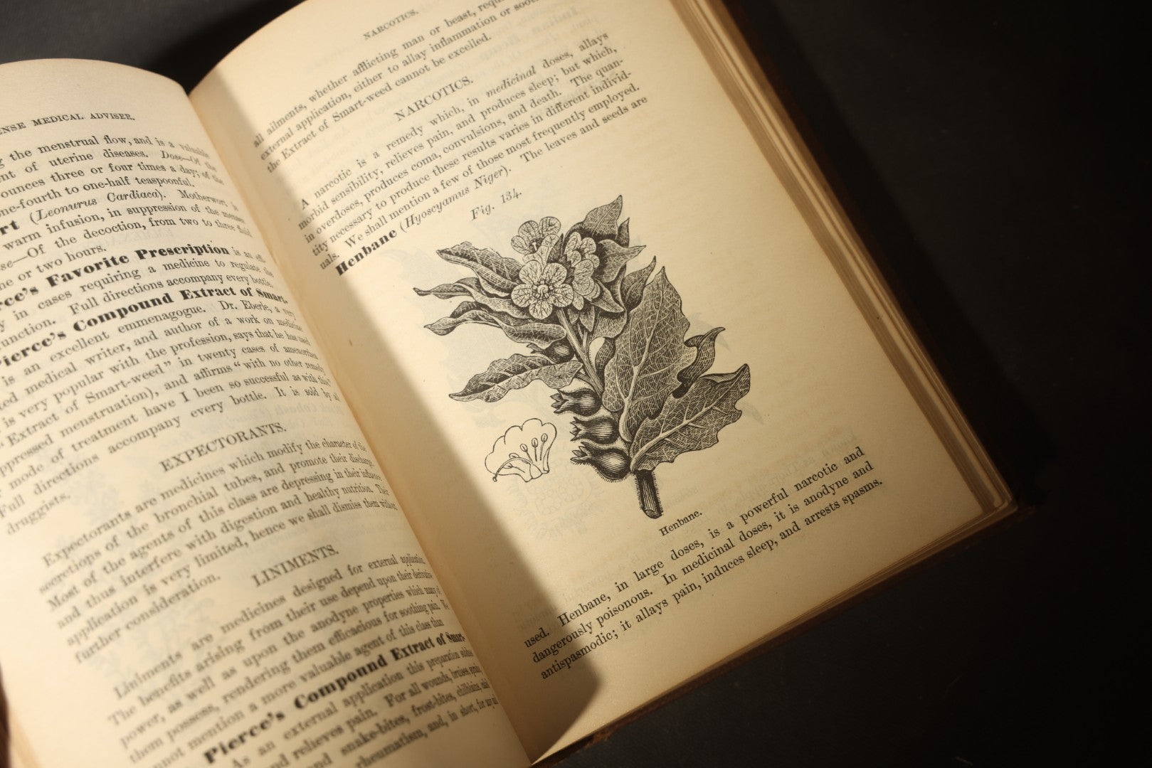 "The People's Common Sense Medical Adviser in Plain English; or, Medicine Simplified" Antique Medical Book with Anatomical Illustrations by R.V. Pierce, M.D., 18th Edition, Published by World's Dispensary Printing Office, Buffalo, New York, 1888