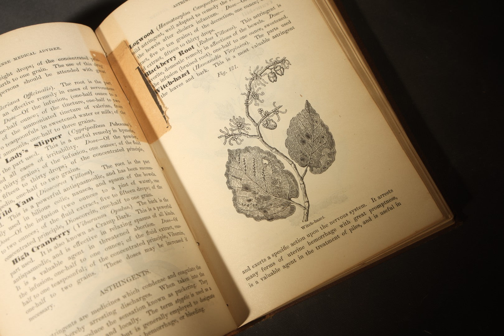 "The People's Common Sense Medical Adviser in Plain English; or, Medicine Simplified" Antique Medical Book with Anatomical Illustrations by R.V. Pierce, M.D., 18th Edition, Published by World's Dispensary Printing Office, Buffalo, New York, 1888