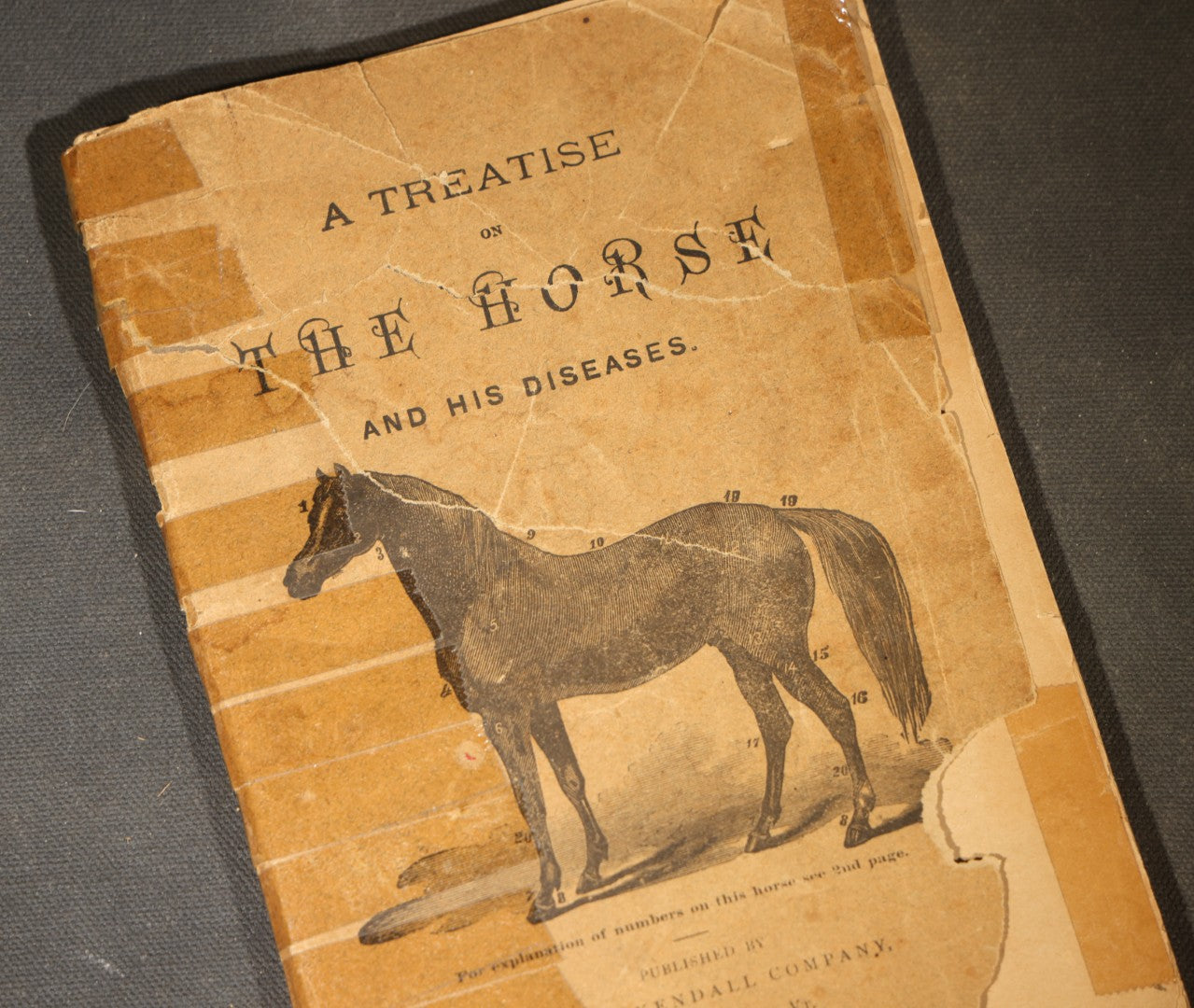 "A Treatise on the Horse and His Diseases" Antique Illustrated Equine Veterinary Booklet, Revised Edition, Published by Dr. B. J. Kendall Company, Enosburgh Falls, Vermont, 1881