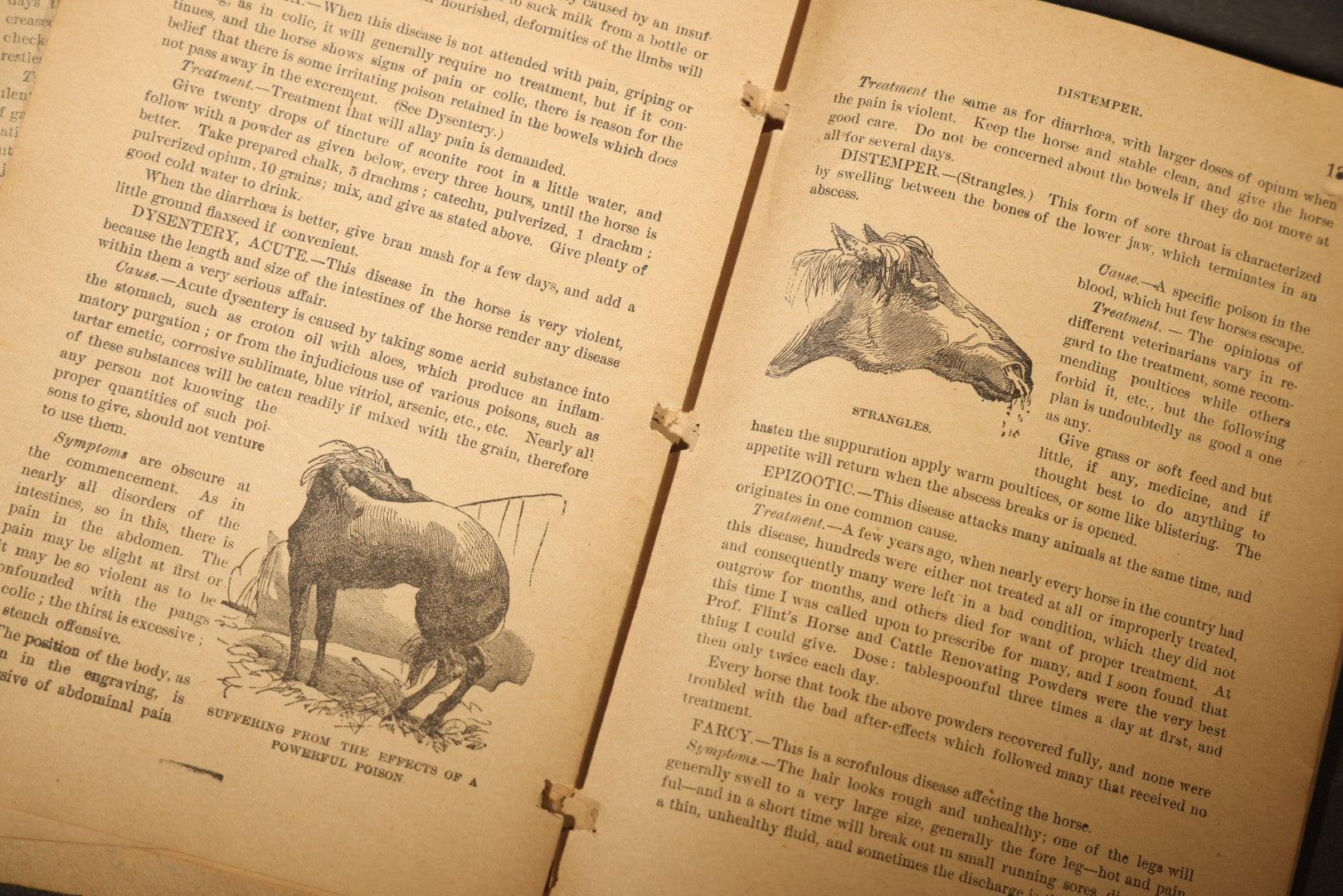 "A Treatise on the Horse and His Diseases" Antique Illustrated Equine Veterinary Booklet, Revised Edition, Published by Dr. B. J. Kendall Company, Enosburgh Falls, Vermont, 1881