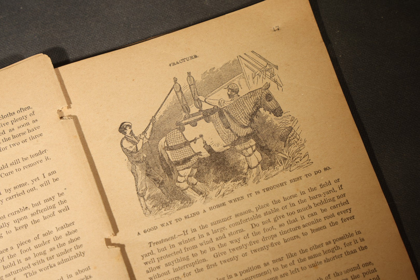 "A Treatise on the Horse and His Diseases" Antique Illustrated Equine Veterinary Booklet, Revised Edition, Published by Dr. B. J. Kendall Company, Enosburgh Falls, Vermont, 1881